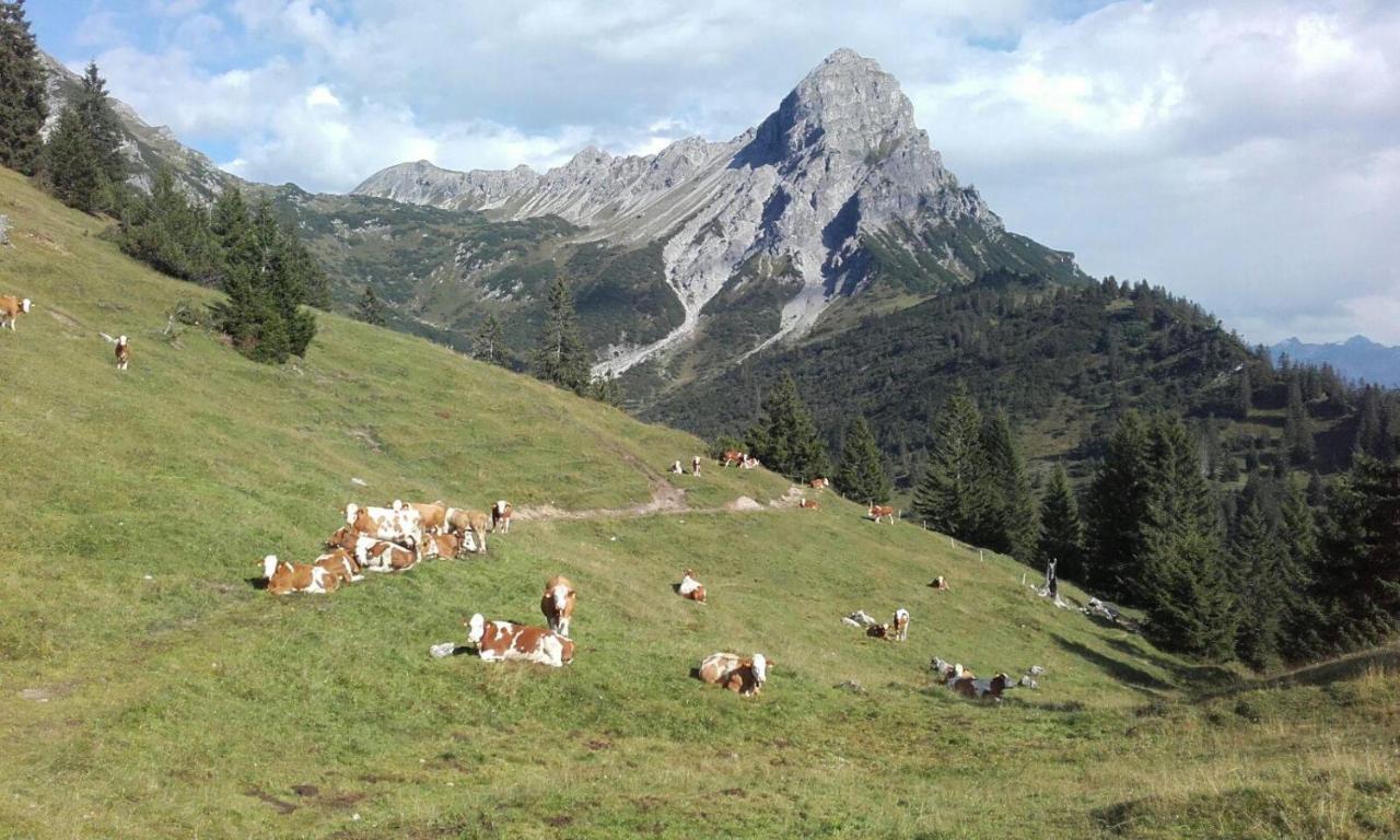 Burtscherhof In Braz Villa Ausserbraz Kültér fotó